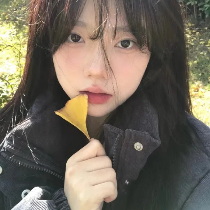 圆盘皇女 十二月夜想曲海报