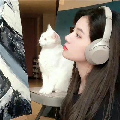 妖狐传海报